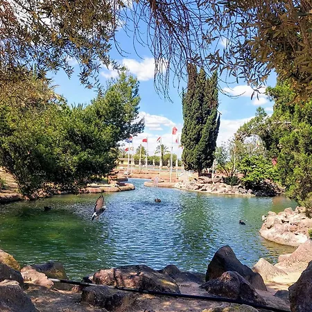 Banderas * Torrevieja