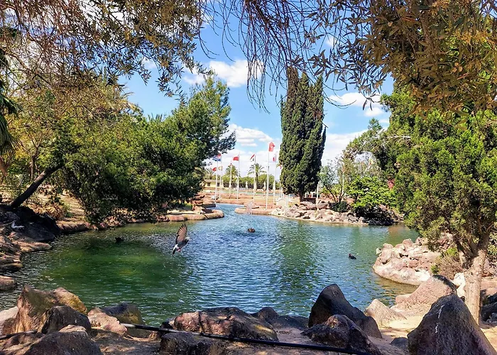 Banderas * Torrevieja